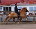 Elsa Romme 1 kopia.jpg