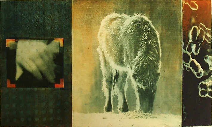 Fafnir och barnhand kopia.jpg