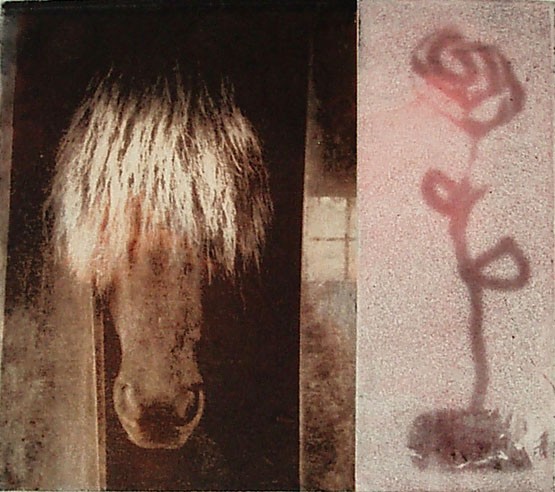 ròs och ros kopia.jpg
