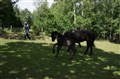 DSC06784.JPG