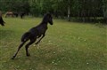 DSC06840.JPG