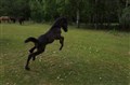 DSC06841.JPG