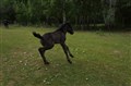 DSC06843.JPG