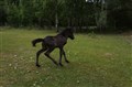 DSC06844.JPG