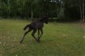 DSC06845.JPG