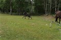DSC06868.JPG