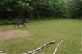 DSC06906.JPG
