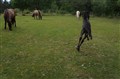 DSC06911.JPG
