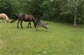 DSC07026.JPG