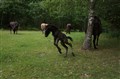 DSC07066.JPG