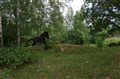 DSC07099.JPG