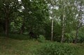DSC07101.JPG