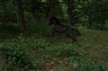 DSC07111.JPG