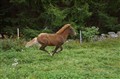 DSC03365.JPG