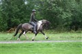 Ofsi och Spaeta 026 (Small).jpg