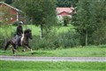 Ofsi och Spaeta 029 (Small).jpg